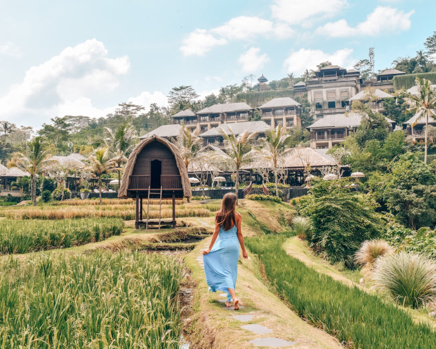 Mandapa-Bali-Rice-field-2 Mandapa-Bali-Rice-field-2