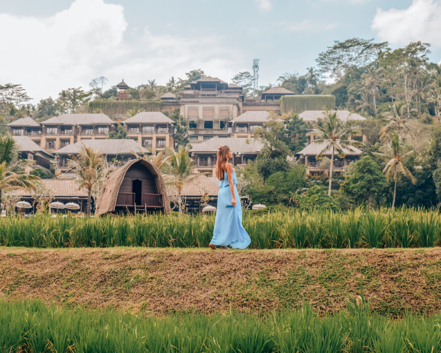 Mandapa-Bali-Rice-field Mandapa-Bali-Rice-field