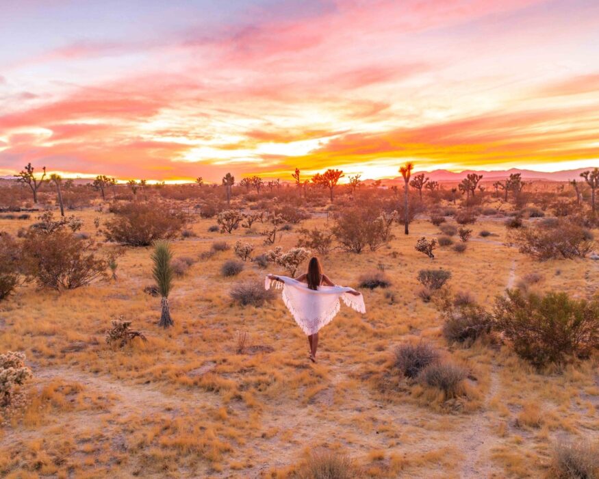joshua-tree-sunset-walk one day in joshua tree national park