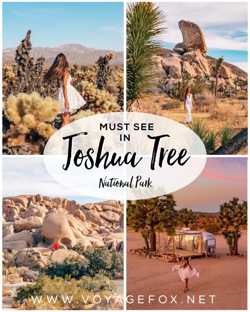 joshua-tree-pinterest-1 one day in joshua tree national park
