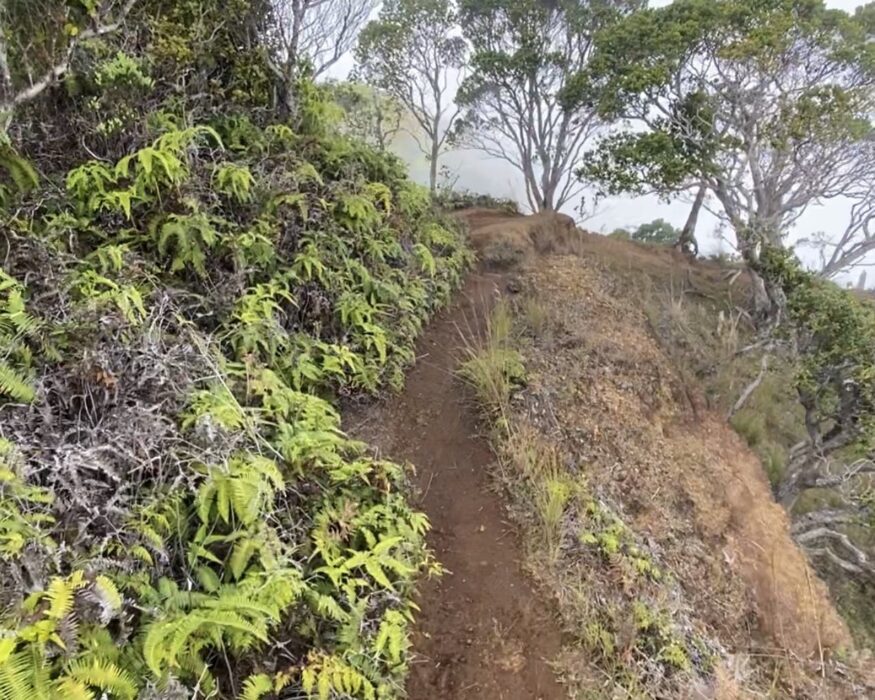 kauai kalepa ridge trail kauai travel guide