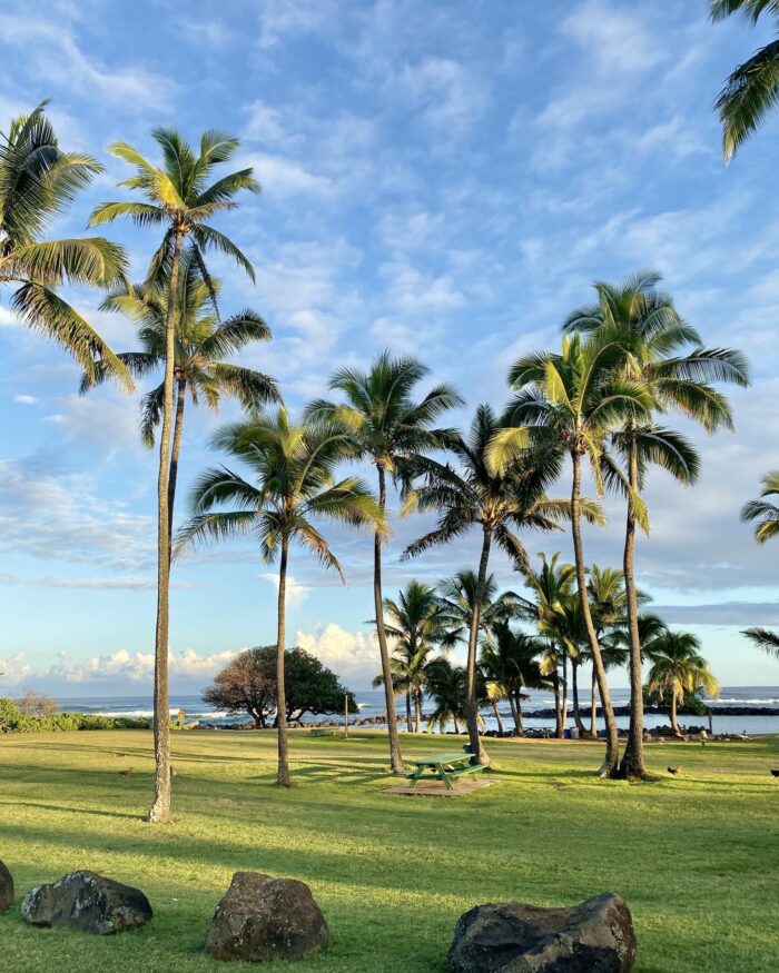 kauai lydgate state park kauai travel guide