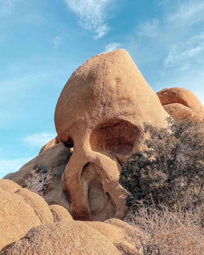joshua-tree-skull-rock joshua tree skull rock