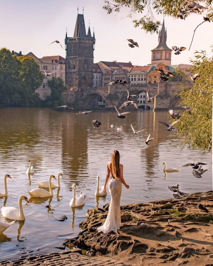 prague-swans-river prague top travel destinations