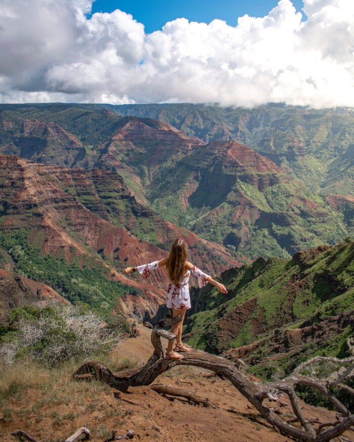kauai-waimea-canyon-view Kauai waimea canyon