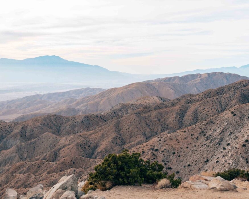 joshua-tree-keys-view joshua tree keys view