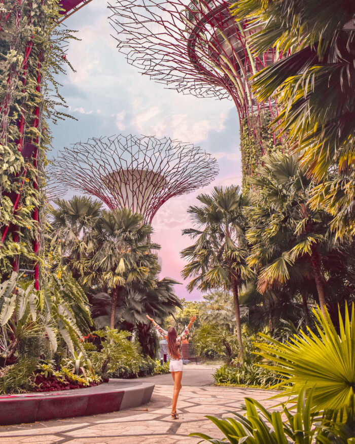 singapore-gardens-by-the-bay-super-trees singapore-gardens-by-the-bay-super-trees