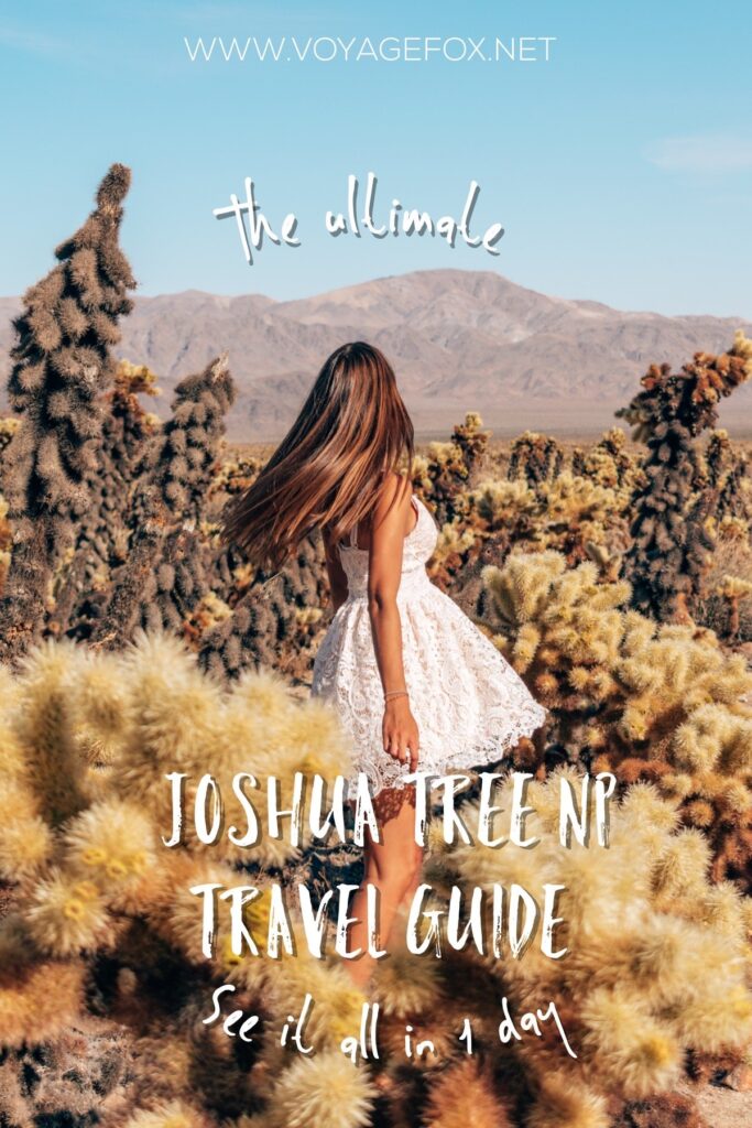 joshua-tree-pinterest-2 one day in joshua tree national park