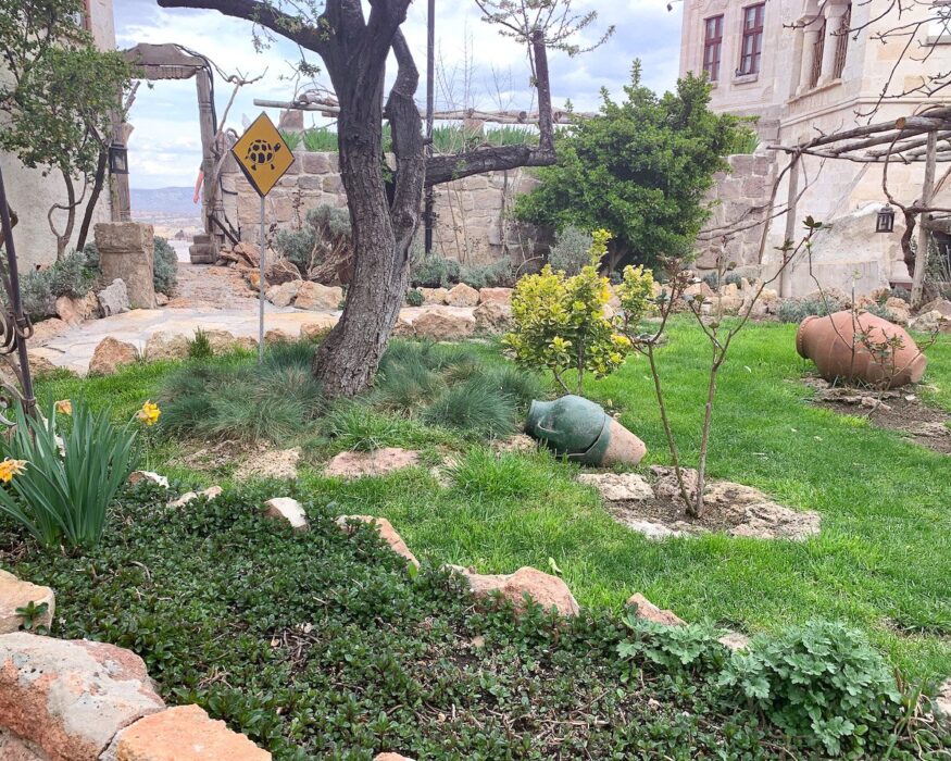 museum-hotel-turtle-garden museum hotel