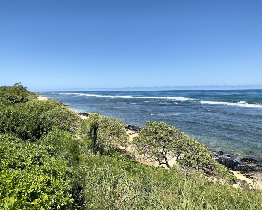 Kauai-larsens-beach Kauai Travel Guide