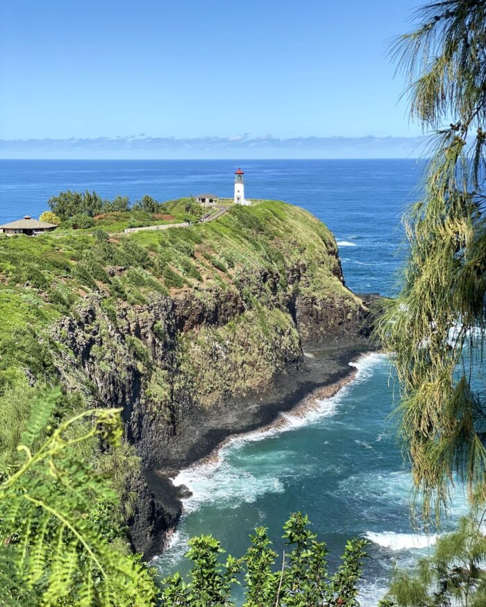 kauai-kilauea-lighthouse kilauea lighthouse kauai