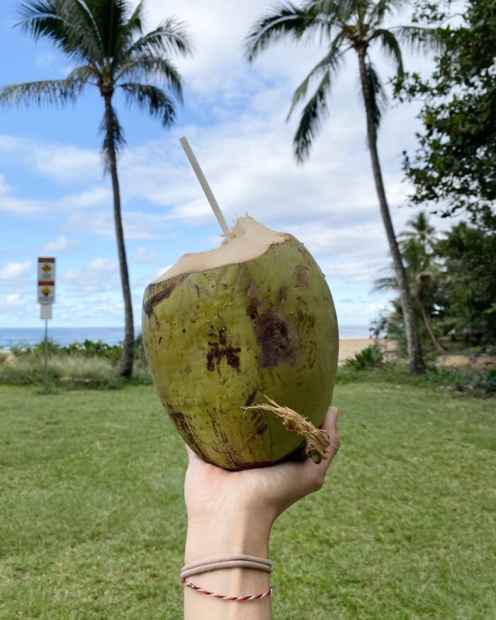 kauai-coconut-beach coconut at the beach kauai