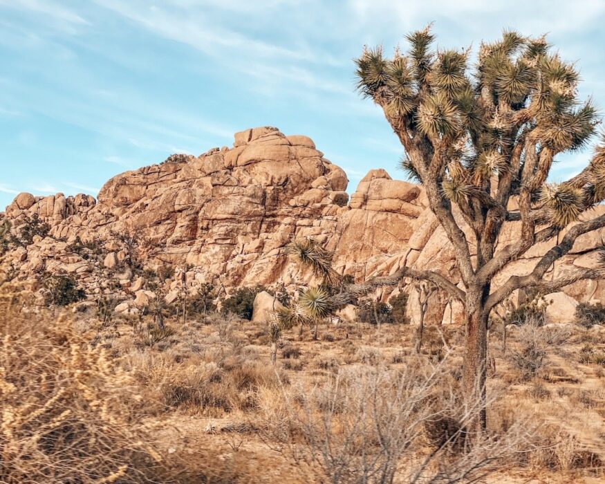 joshua-tree-rocks-2 one day in joshua tree national park