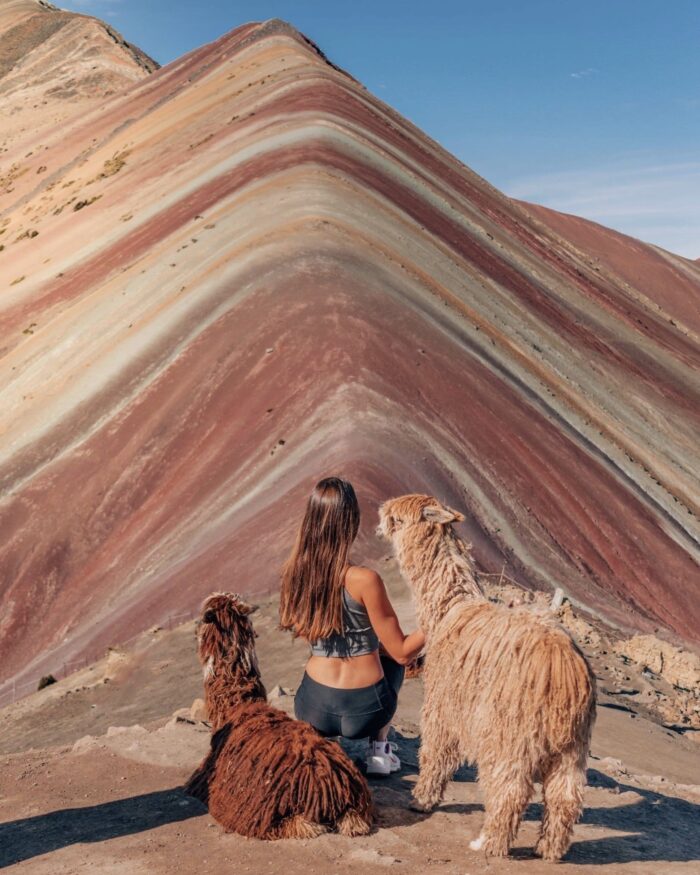 peru-rainbow-mountain-lama rainbow mountain peru