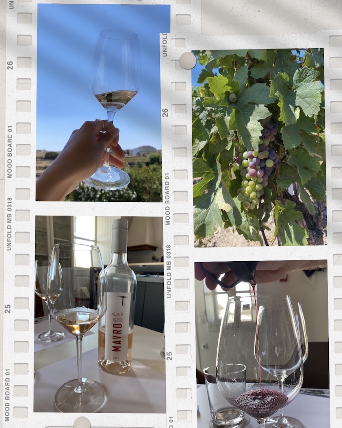 Tinos-Greece-wine-tasting
