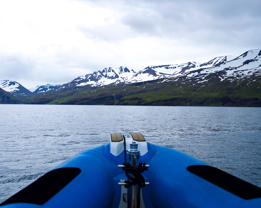 boat-Best-things-to-do-in-iceland boat with Mountain View