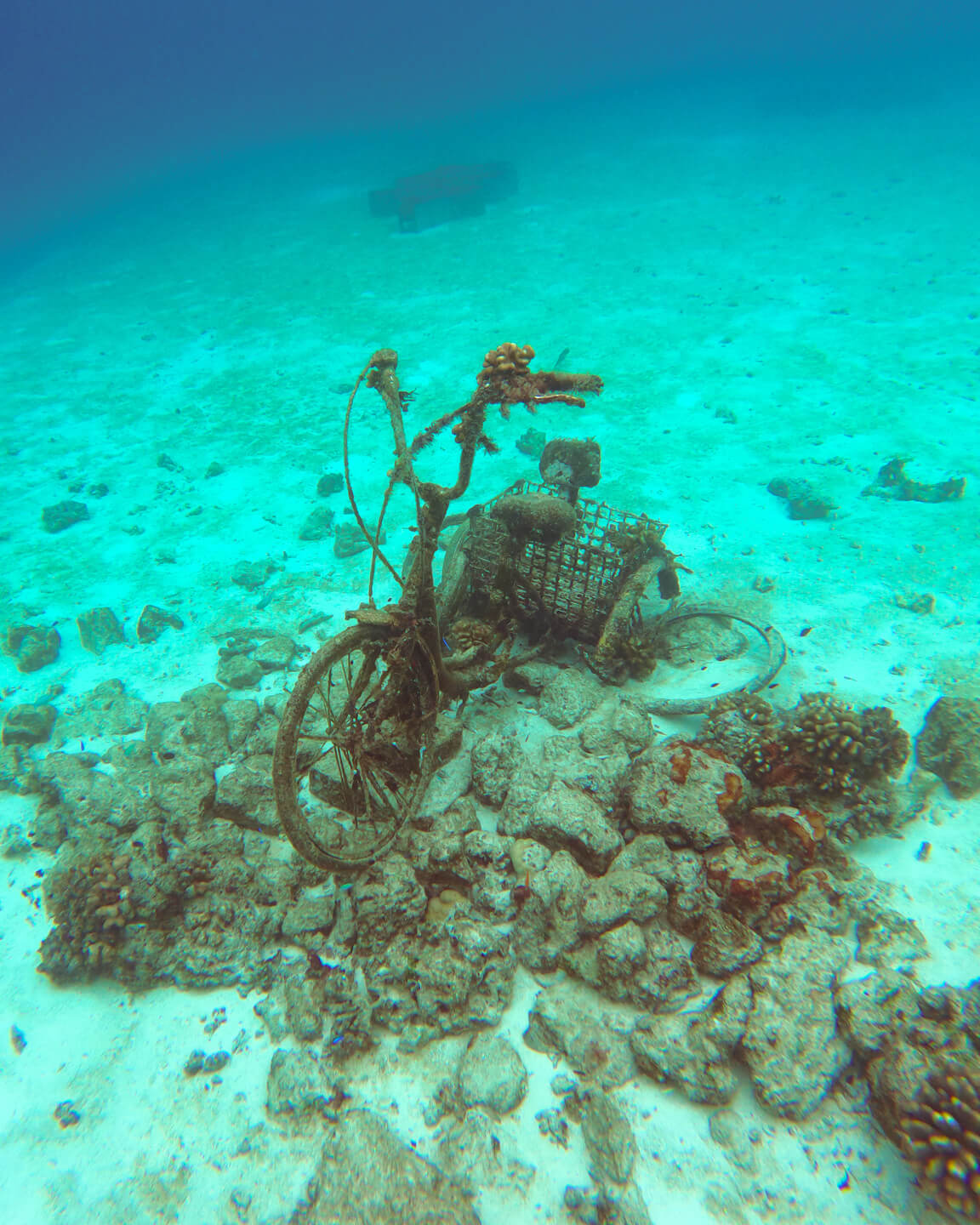 underwater bicycle corals Maldives