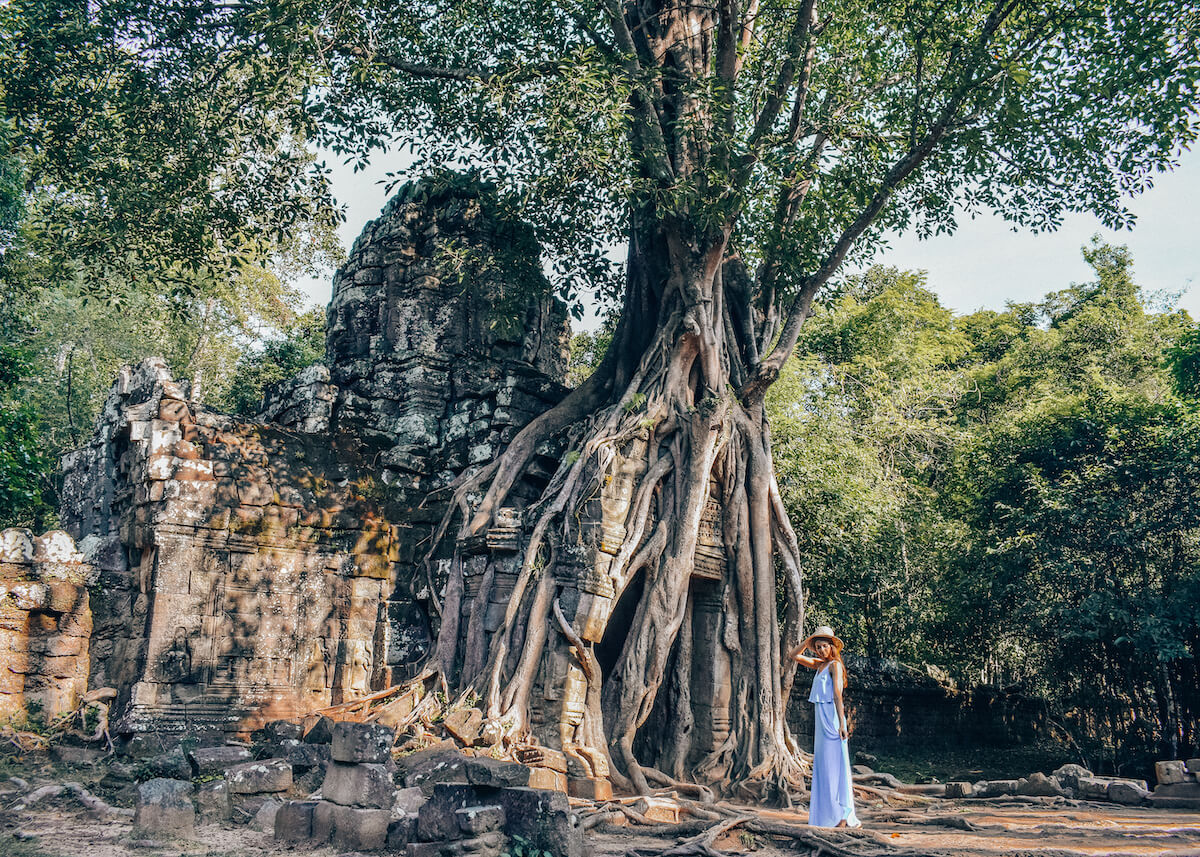 tree grown over ta som temple in Angkor