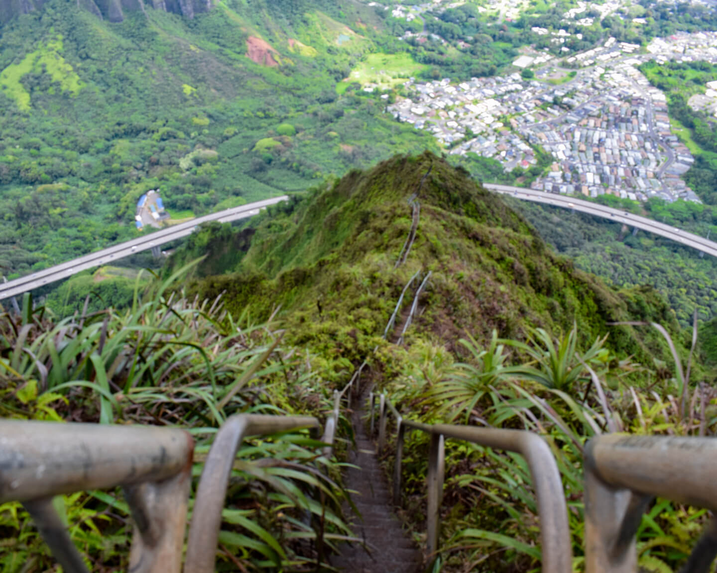 metal stairs leading down green hill in Oahu Hawaii