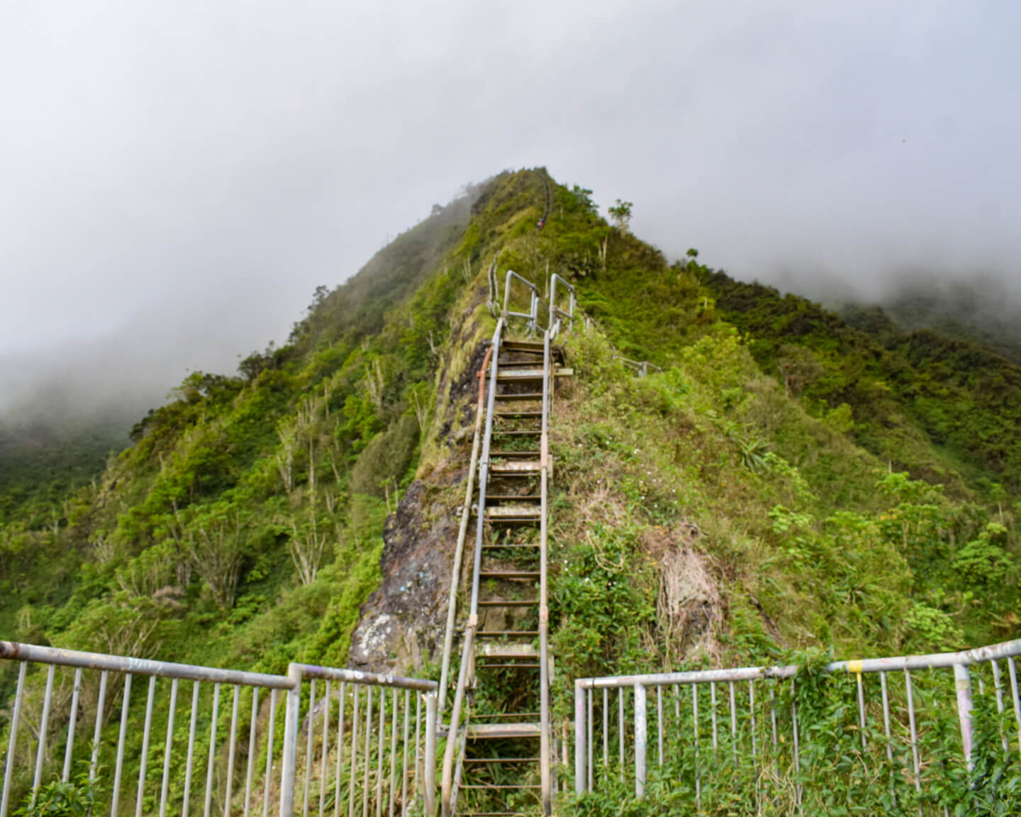 the haiku stairs in Hawaii Oahu