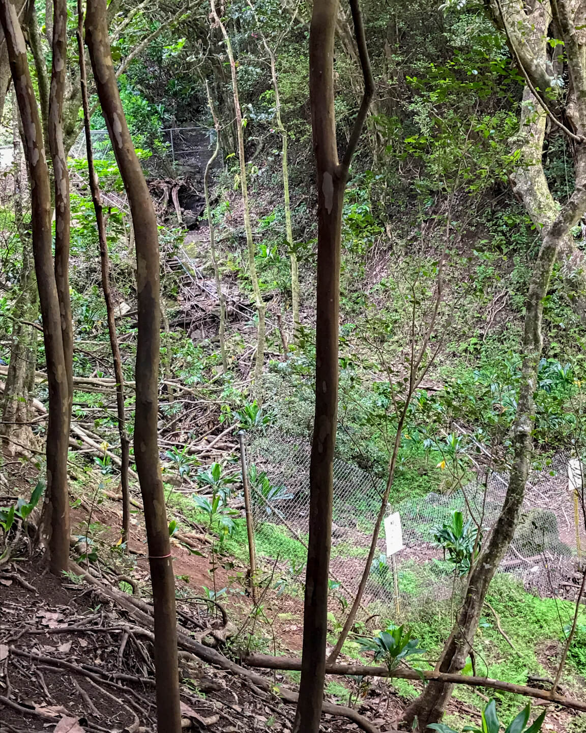 entrance fence haiku stairs
