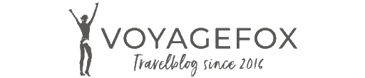 light logo
